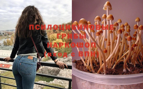 крисы Усолье-Сибирское