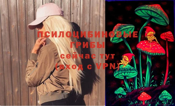 круглые Тында