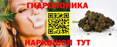 прущие грибы Михайловка
