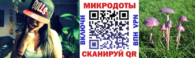 Галлюциногенные грибы Psilocybe  купить   Благовещенск 