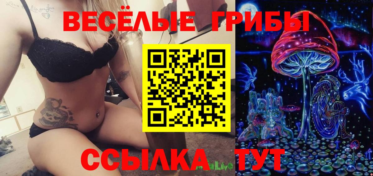 Галлюциногенные грибы ЛСД  Галлюциногенные грибы Magic Shrooms  Благовещенск  Вход с VPN 