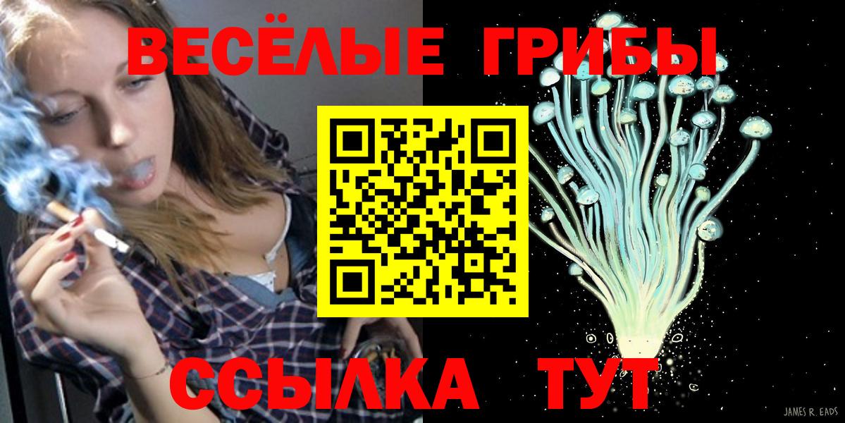 Псилоцибиновые грибы Psilocybine cubensis Благовещенск