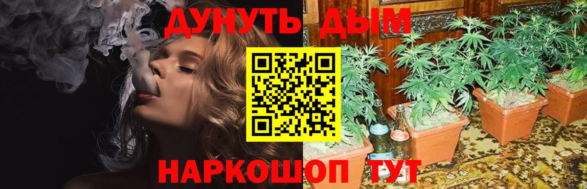 Конопля SATIVA & INDICA Благовещенск